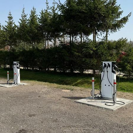 Radailiu Dvaras - Dinosaur Park Radailiai Extérieur photo
